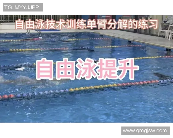 自由泳初学者必看技巧与训练方法提升游泳能力的全攻略